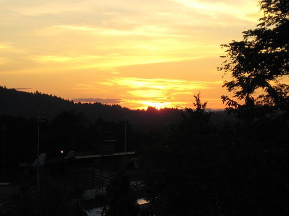 Sunset View