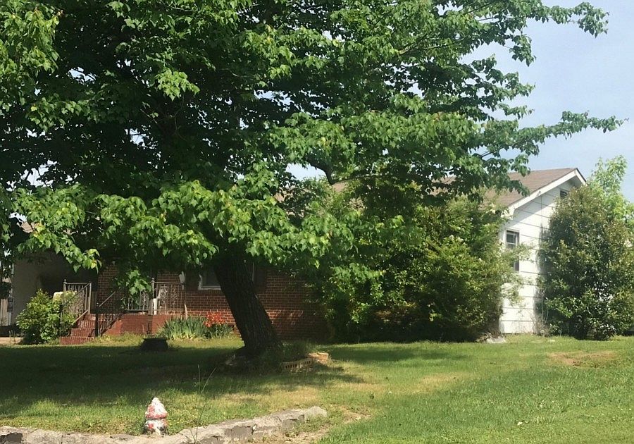 2nd image of 311 Parrish St