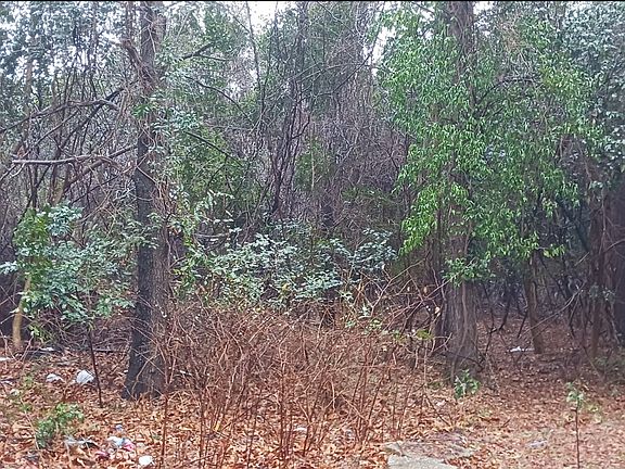 5th image of 730 Shaw Rd