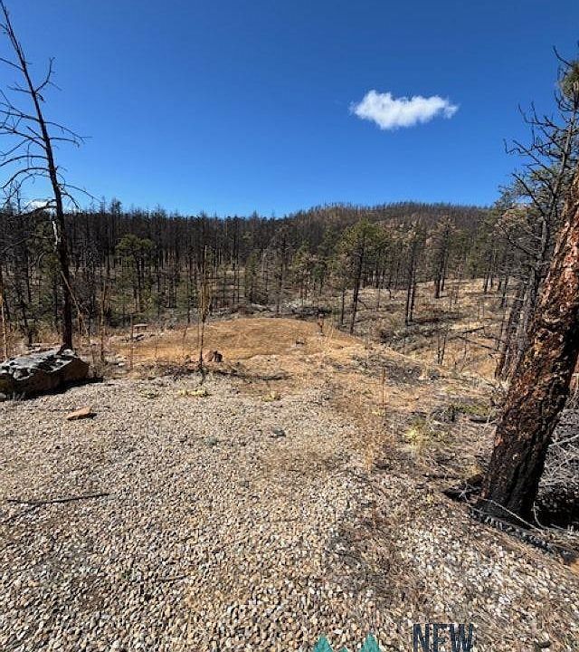 1st image of 97 Club House Dr