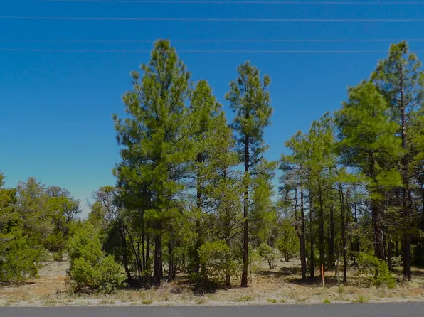 6541 Mogollon Trl, Happy Jack, AZ 86024