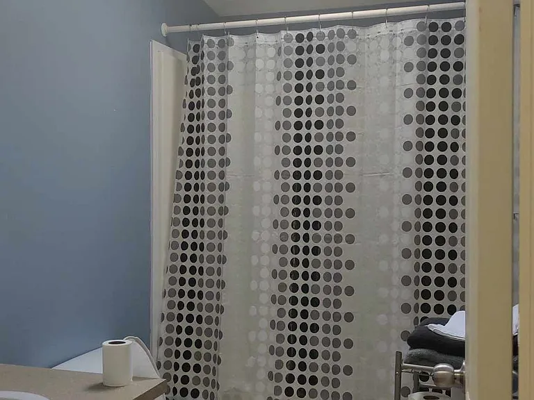 2nd bathroom w/skylight