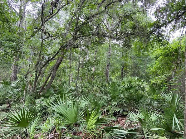 E Highway 318, Citra, FL 32113