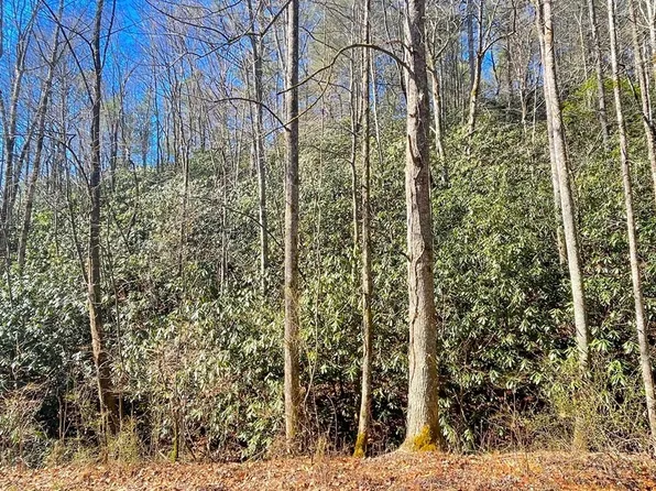 1200 Bristol Ave, Andrews, NC 28901