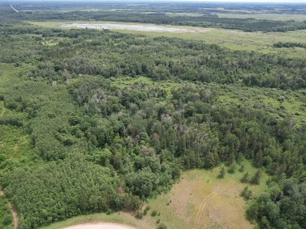 Tbdx 350th St, Menahga, MN 56464