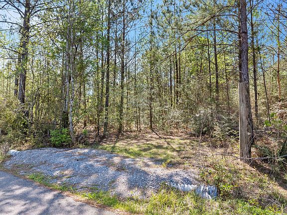 5th image of 163 Piatonia Rd