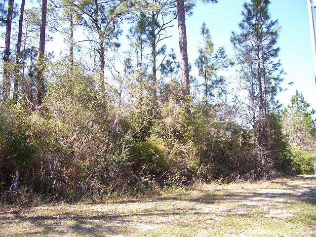 1st image of 0 Woodland Dr Lot 36