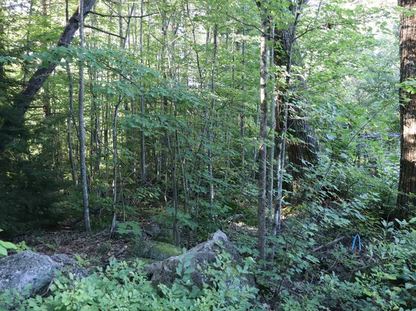 Lot 16-3 West Street, Antrim, NH 03440