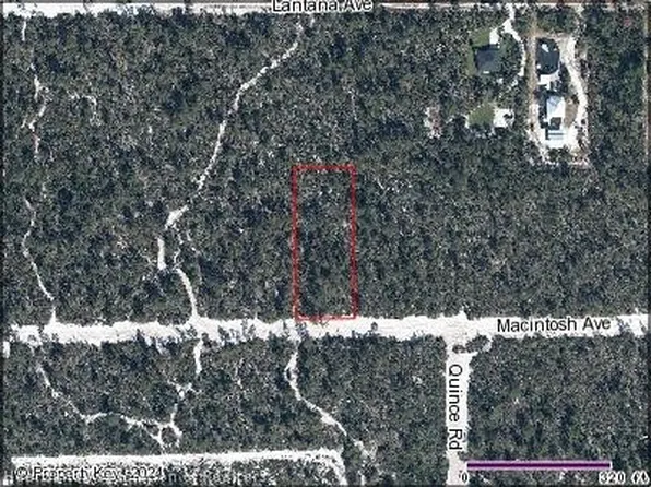 2138 Macintosh Ave, Sebring, FL 33875