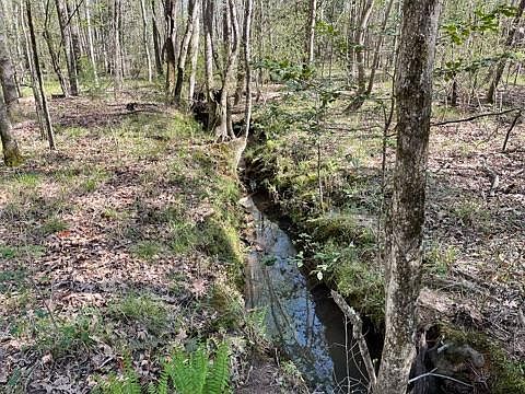 4th image of 0 County Road 16