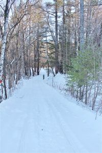 Macginnis Drive, Ludlow, VT, 05149
