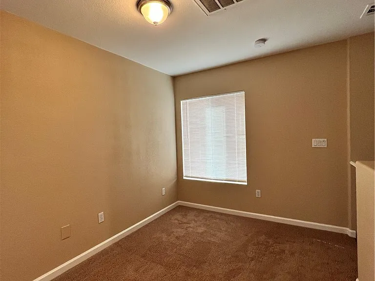 8237 Golden Flowers St — Photo 16