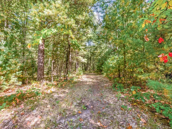 V/l 40 A S Locust Ave, White Cloud, MI 49349