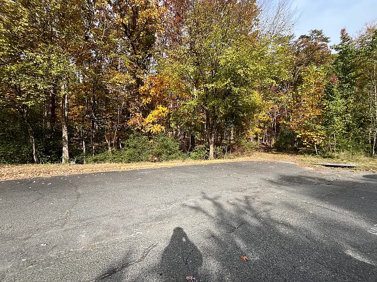 255 Farrell Ln — Photo 28