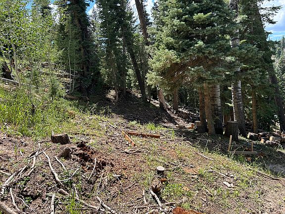 5th image of 6410 W Kodiak Dr
