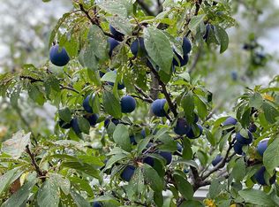 N5637 Riverside Dr, Shawano, WI 54166