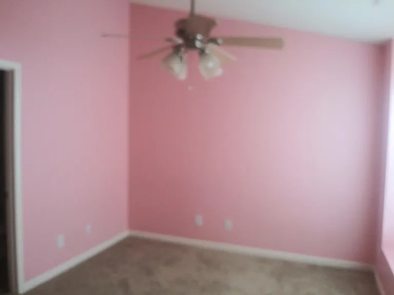 251 Malamute Ln — Photo 10