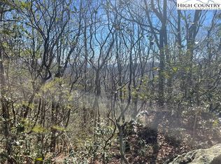 Little Laurel Rd, Boone, NC 28607