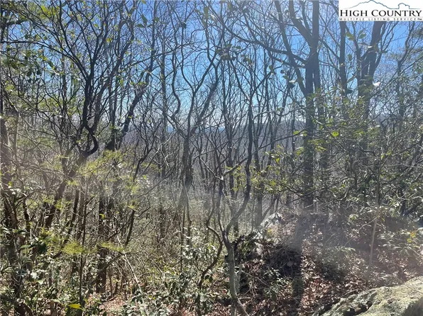 TBD Off Little Laurel Road, Boone, NC 28607