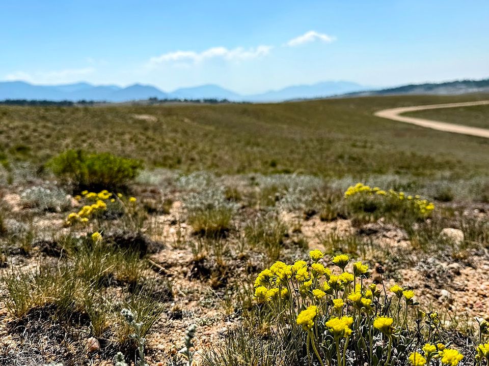 1st image of 609 Commanche Trail