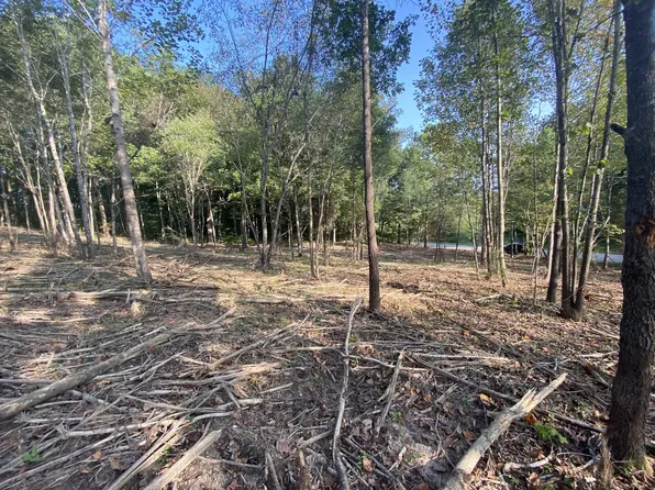 137 Swift Ln, Cunningham, TN 37052