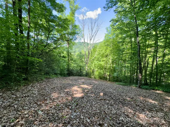 14 Trout Lily Ln, Maggie Valley, NC 28751