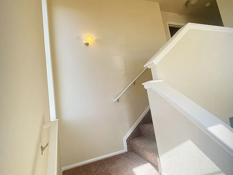 4556 Horse Tooth Rd — Photo 13
