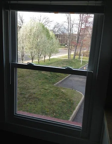 Campus view