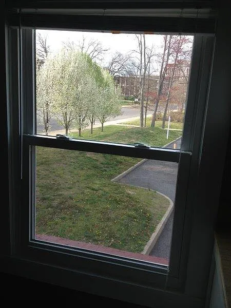 Campus view
