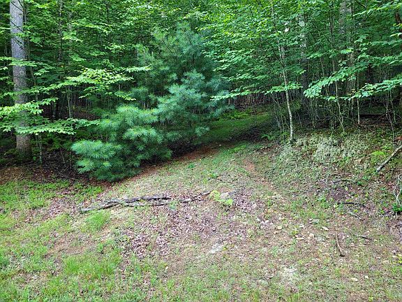 5th image of 248 Oak Valley Ln