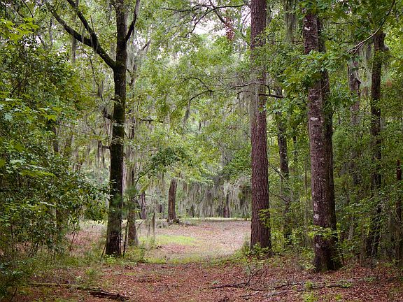 2nd image of 385 Sand Ridge Road