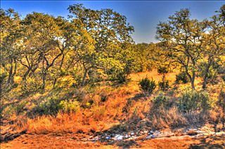 4th image of 1092 Bridlewood