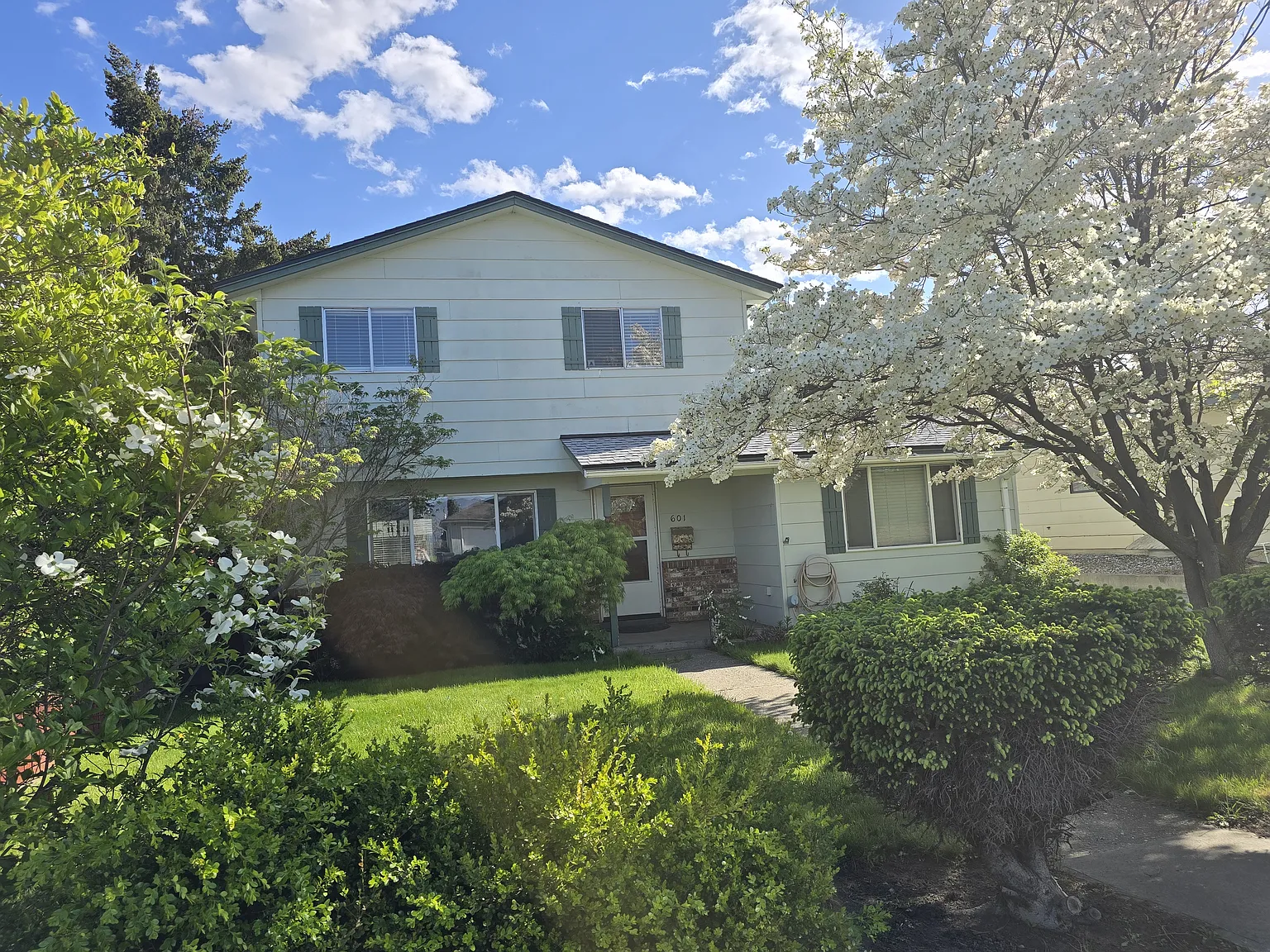 601 Marjo St — Photo 2
