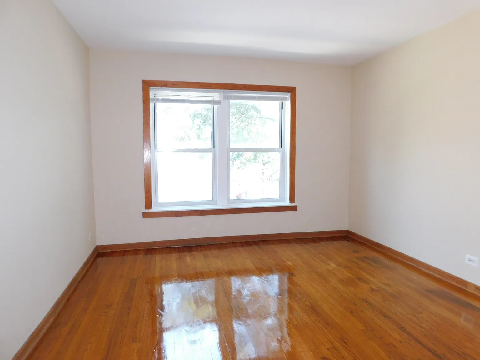 Studio, 375 sqft, $1,125 — Photo 1