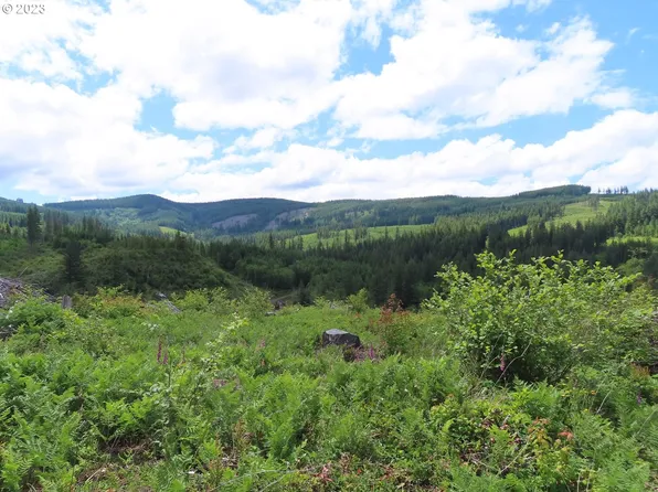 L 1100 Rd #3, Yacolt, WA 98675