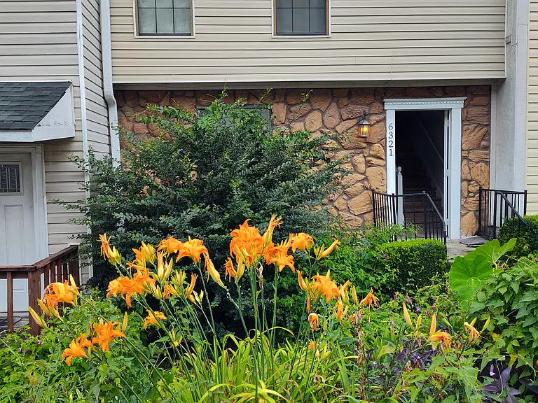 Former tenants planted perennial flowers. I'd want to keep a few tomato plants in big planters myself because it gets full sunlight.
