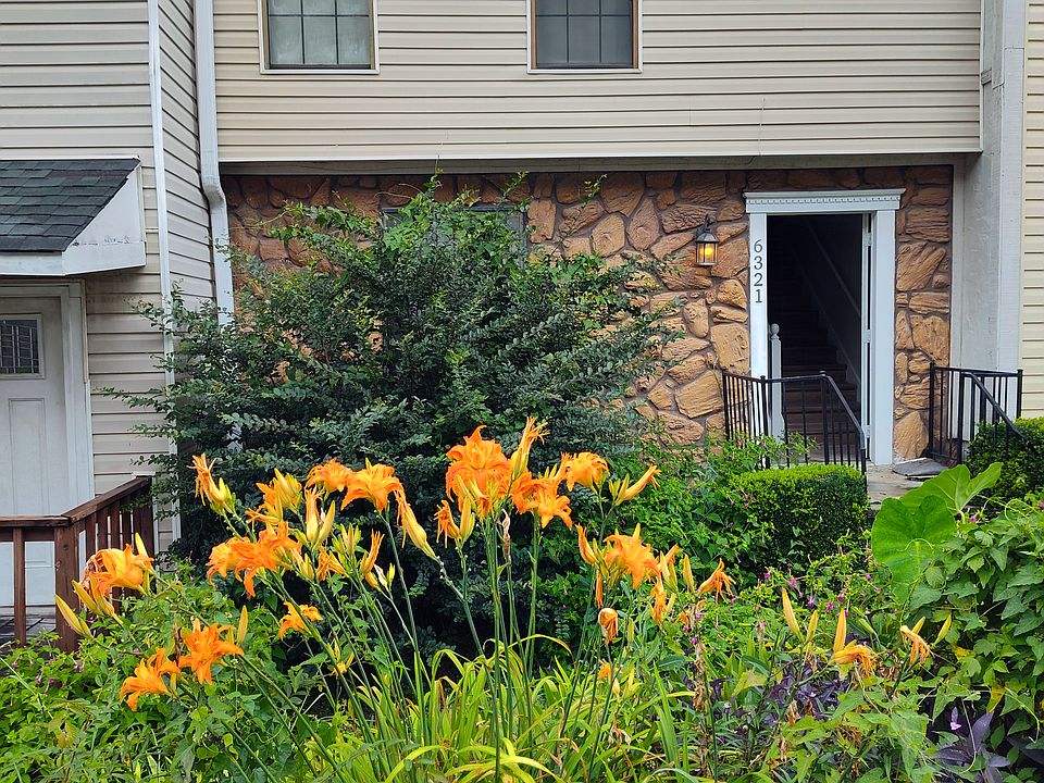 Former tenants planted perennial flowers. I'd want to keep a few tomato plants in big planters myself because it gets full sunlight.