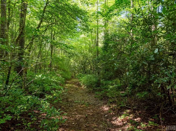 Tract A McCall Road, Cashiers, NC 28717