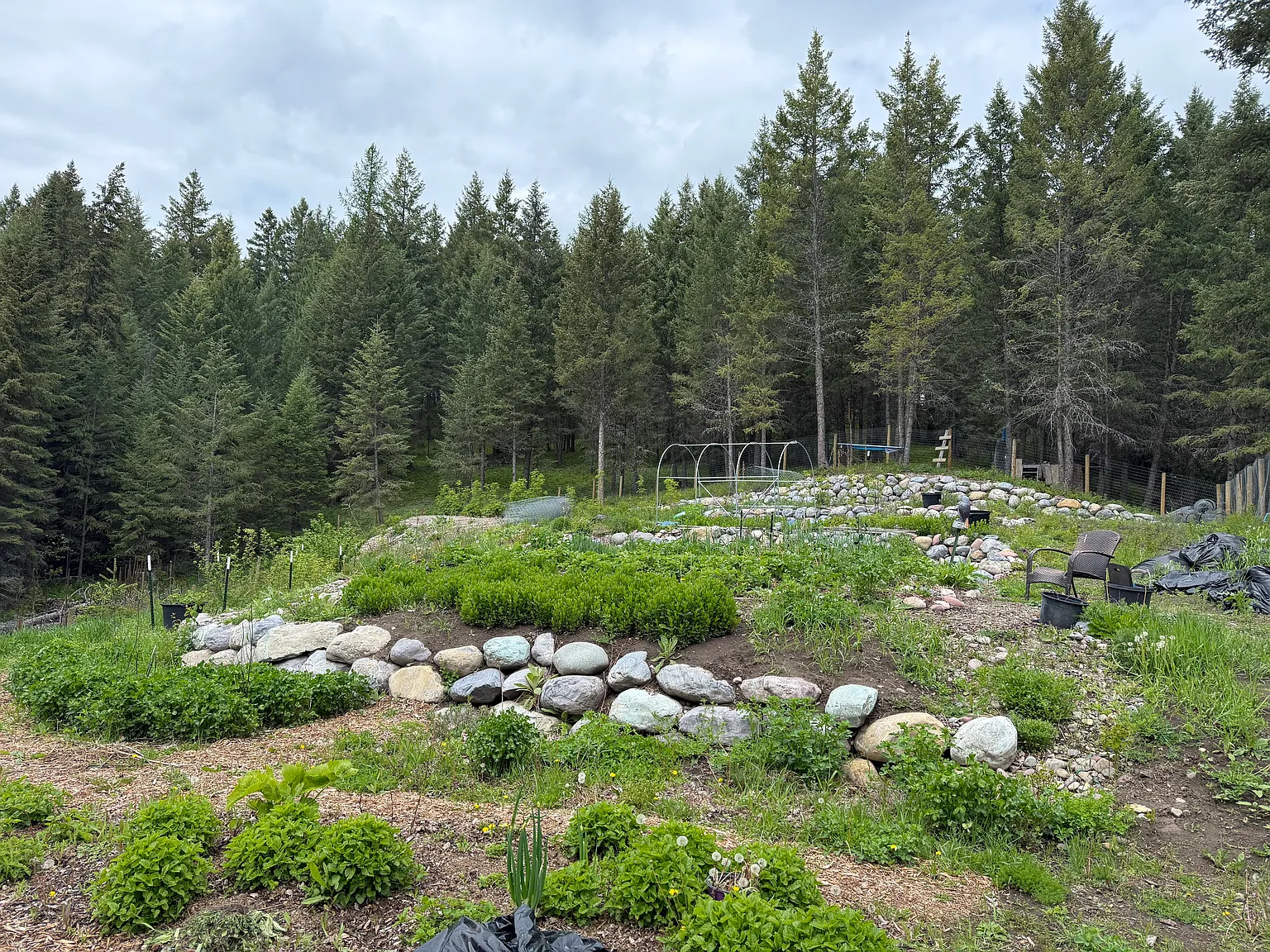 Lindsey Ln, Kalispell — Photo 3