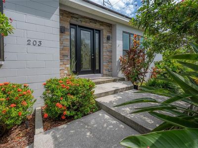 203 Dunkirk Rd, Oldsmar, FL, 34677