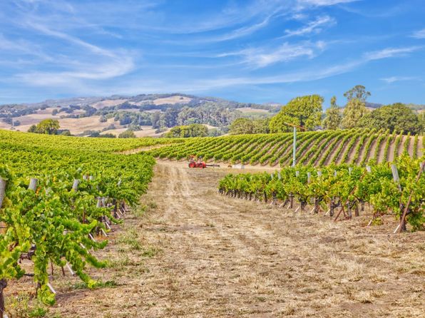 1450 Stage Gulch Road - in Petaluma, CA