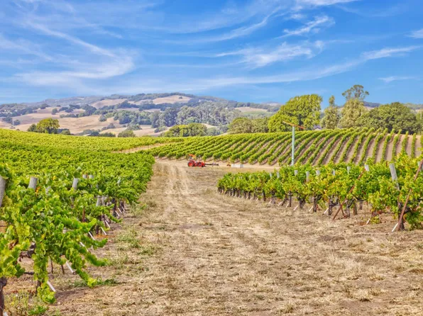 1450 Stage Gulch Road, Petaluma, CA 94954