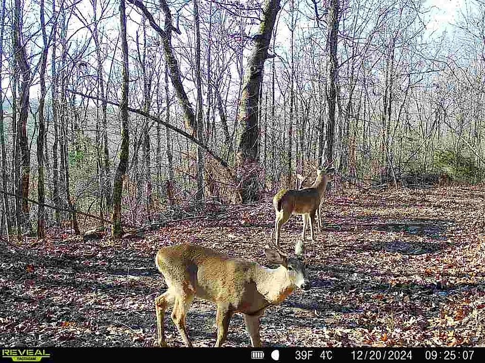 1st image of Old 66 Rd
