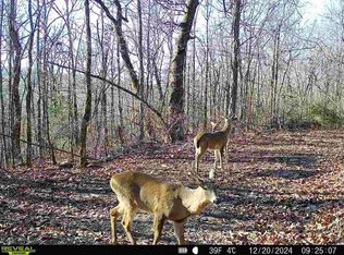 Old 66 Rd, Leslie, AR 72645