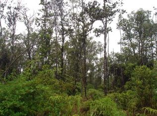 11 3103rd #46, Volcano, HI 96785