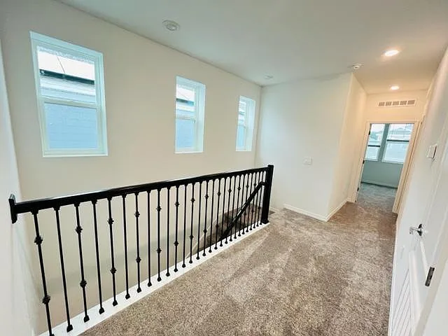 4146 Pino St — Photo 19