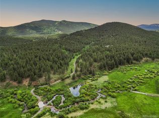 3763 County Road 43, Bailey, CO 80421
