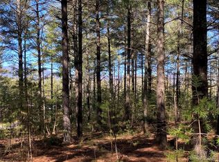 41 Kingfisher Trce #100, Nebo, NC 28761