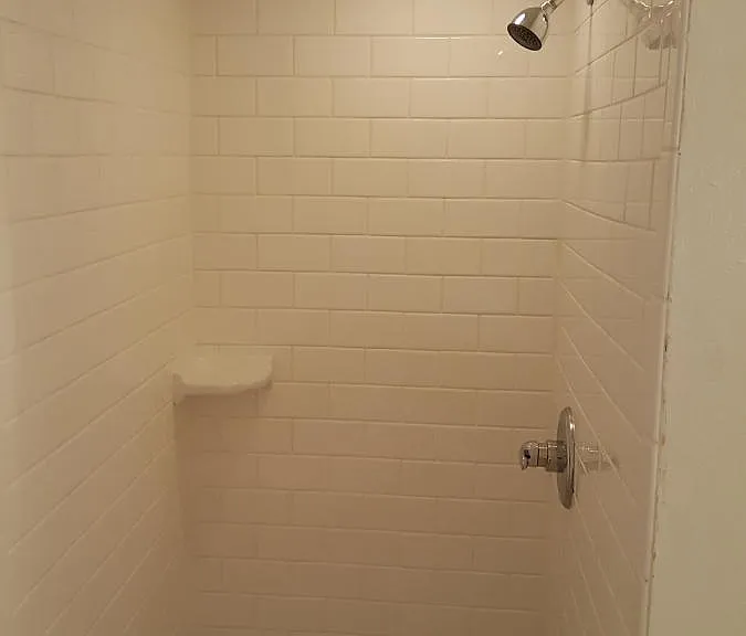 Shower, lower level.