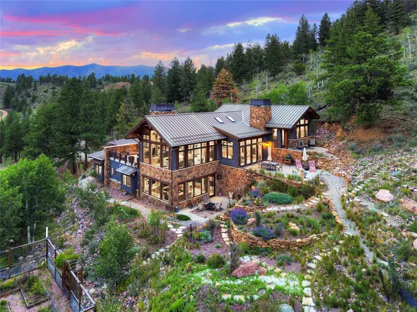 228 Bear Drive, Guffey, CO 80820